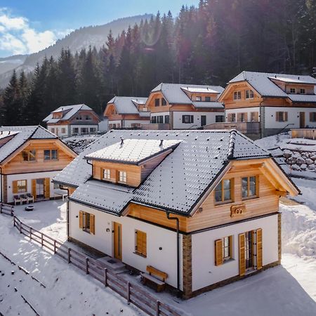 Chalet Pretzel Donnersbachwald Exterior foto